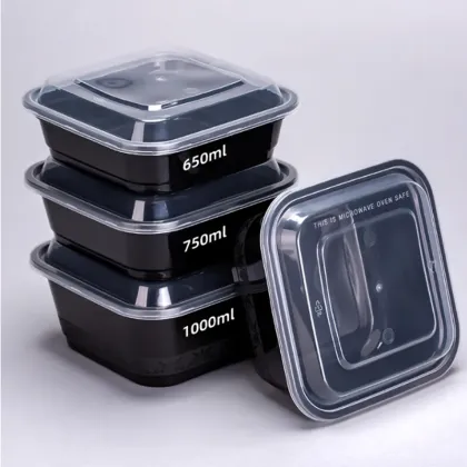 PP plastic disposable ready meal box