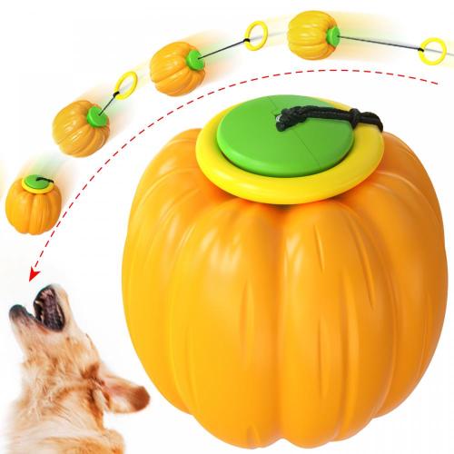 yo-yo pinball training toy for dog