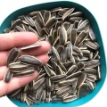 Sweet Sunflower Seeds As Nuts & Snacks