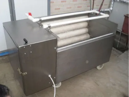 fruit and vegetable washing machine