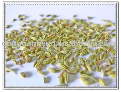cumin seeds