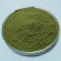 Naturliga livsmedel Alfalfa Organisk grön juice pulver