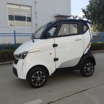 2023 Lead Acid Battery Four Wheel Double Door New Energy Car Coc Certificate EEC Electric Car Made in China