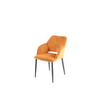 Modern Design Dining Chair Best Prijs