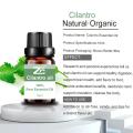 Hot Selling Cilantro Essential Oil Coriander Leaf for Aroma