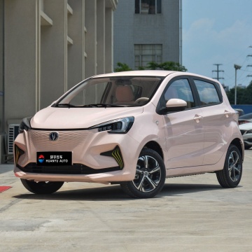 2024 Changan E -Star: Neues Energie -Mini -Elektroauto - 310 km Reichweite, 0 km neu