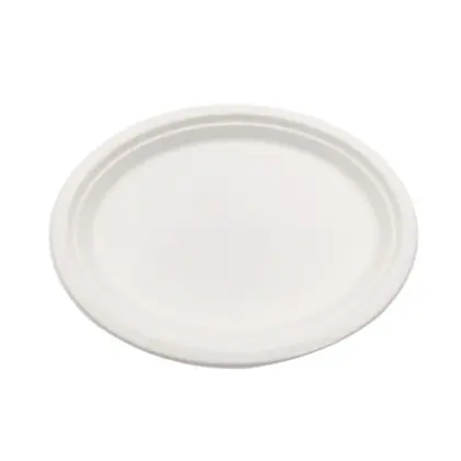 Sugarcane Fiber Bagasse Tableware Disposable Plate