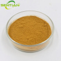 High Quality Jujube Extract for Wellness