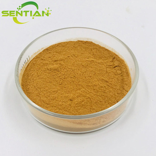 High Quality Jujube Extract for Wellness