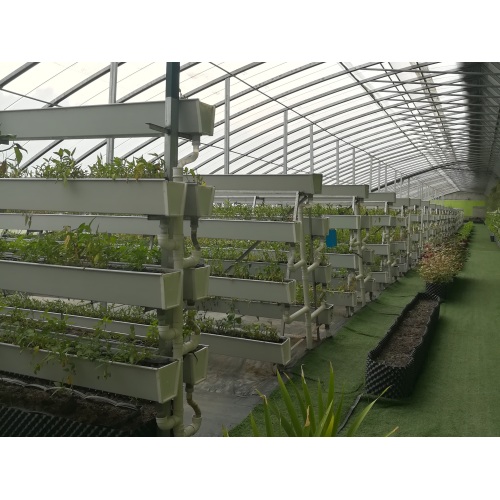 Multi layer Vertical Cultivation Frame