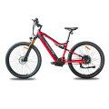 Detachable display 29'' mountain electric bikes