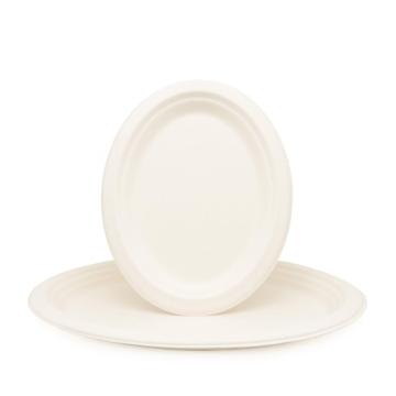biodegradable disposable solid color bagasse tableware