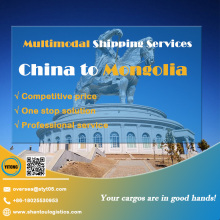 Servicios confiables de carga multimodal desde Guangdong a Mongolia