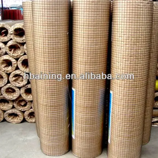 welded wire mesh buy from china