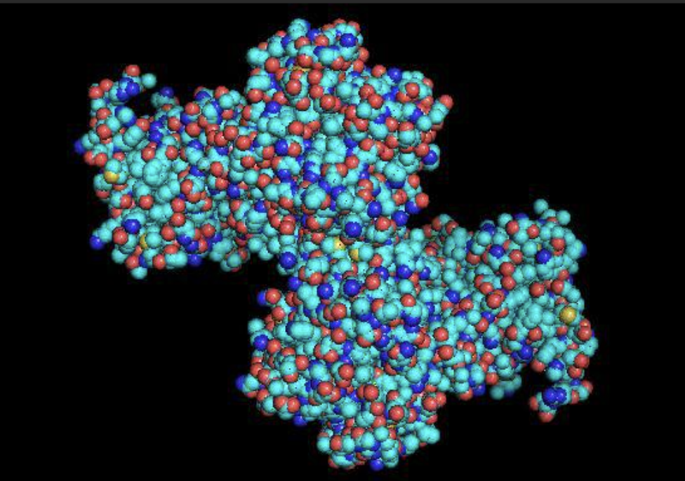 Lipase Enzyme Bulk Supply