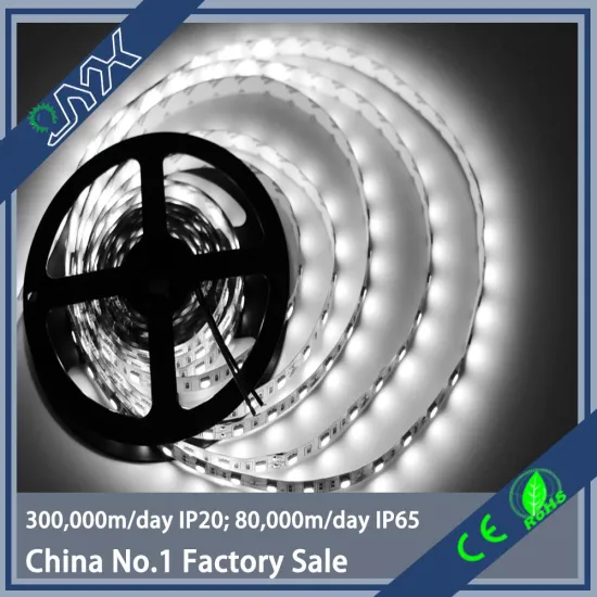 New arrival W/WW colored flexible double row jyx 5050 led strip green color