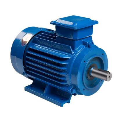 ABB Siemens Weg AC Induction Electric Motor 230/380V with CE Certification