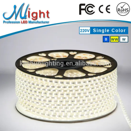 12v 24v 110v220v Flexible LED Strip Lights 5050 White Rope Light for Home & Cars