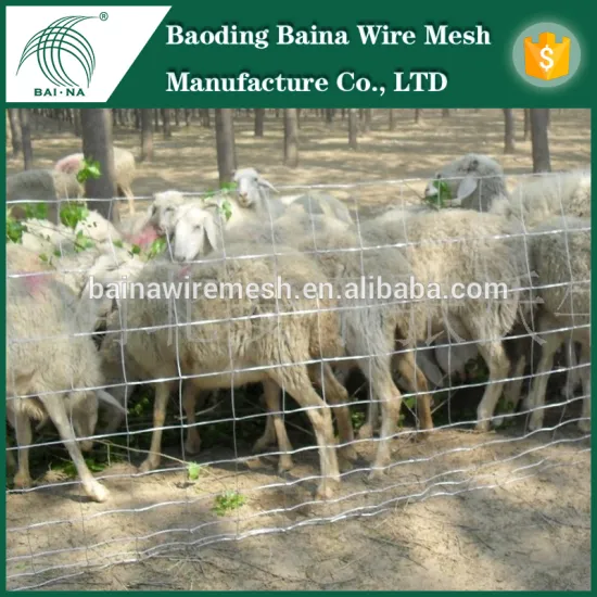 professional electro galvanized grassland fence/animal enclosure/ranch fence