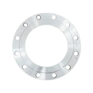 RF/FF Forged Stainless Steel Plate Flange