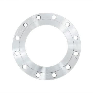 RF/FF Forged Stainless Steel Plate Flange
