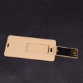Karten-USB-Flash-Festplatte / Stiftdiskette / Memory-Stick