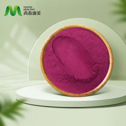 Blackcurrant Extract for Antioxidant Benefits