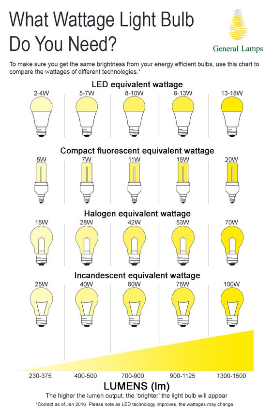 LED LIGHT Bulb