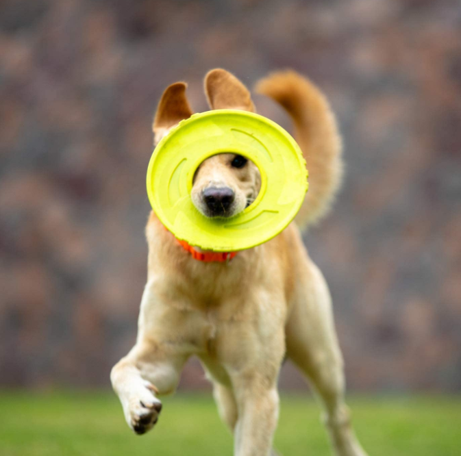 Nylon Fabric Non-Toxic Flying Disc Dog Toy