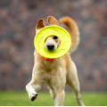 ナイロン生地非有毒な空飛ぶディスク犬のおもちゃ