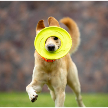 Nylon tyg icke-toxisk flygande skiva hund leksak