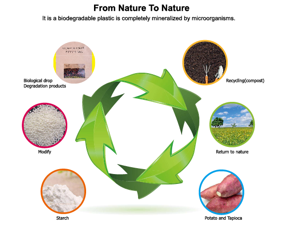 What different between compostable materials and biodegradable materials