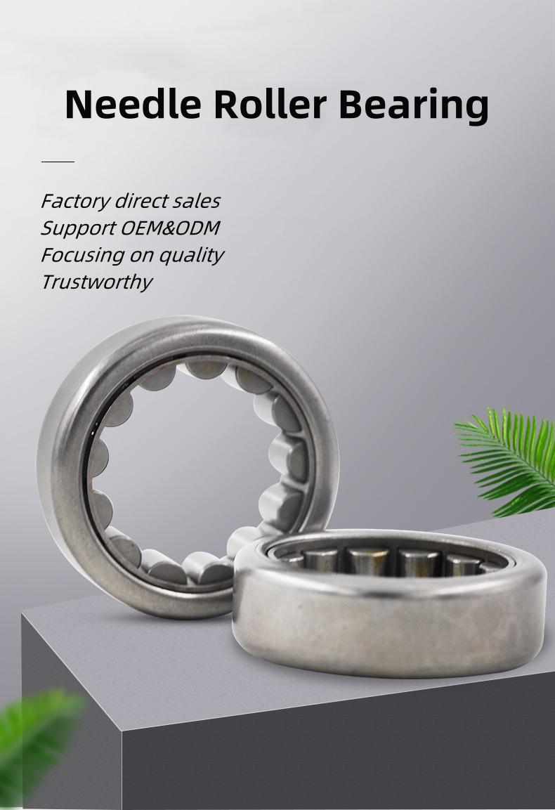 Needle roller bearing (1)