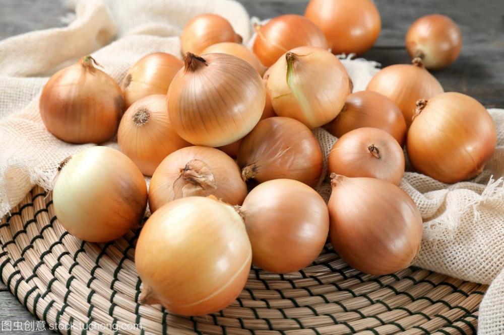 New crop for wholesale onion