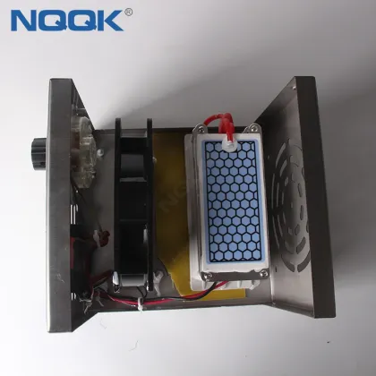 10g 220VAC Timers Stainless Steel Ozone Generator Air Disinfection Machine