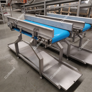 Food conveyor belt from Colead