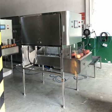 High Speed 1000 Pcs/Min Fruit Peeler Machine for Sale