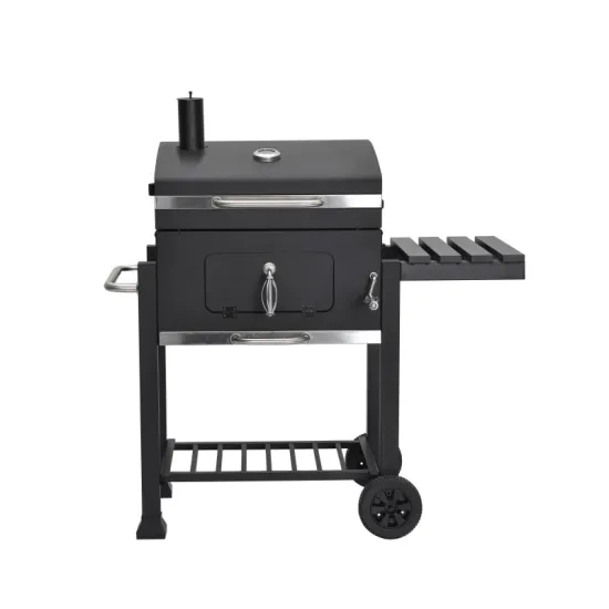 Outdoor Kitchen Cooking Bbq Grills 2pcs PE Wheel Stainless Steel Trolley Bbq Gas Grills