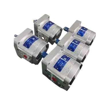 CBW-F Series Gear Pumps: Hydraulic Oil Pump Models CBW-F310, CBW-F306, CBW-F304, CBW-F316ALP, CFP, CLP, and AFP