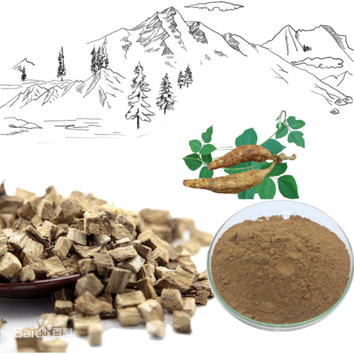 Pueraria mirifica 추출물 분말