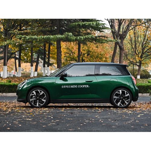 2024 Electric Mini Cooper 452 км SE художник