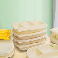 Bagasse Take Away Container Paper Environment