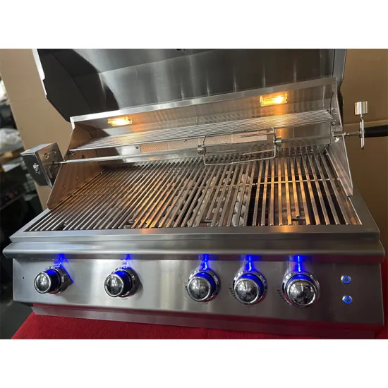 Bbq Outdoor Kitchen Gas Grill With Infrared Back Burner Built-in Bbq Flame Safety Device