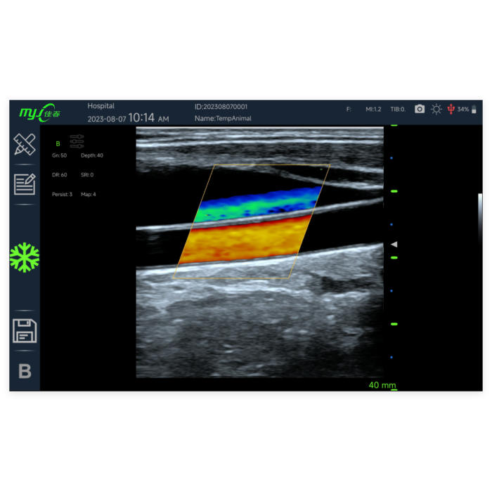 R60 3.5MHz convex probe color equine ultrasound