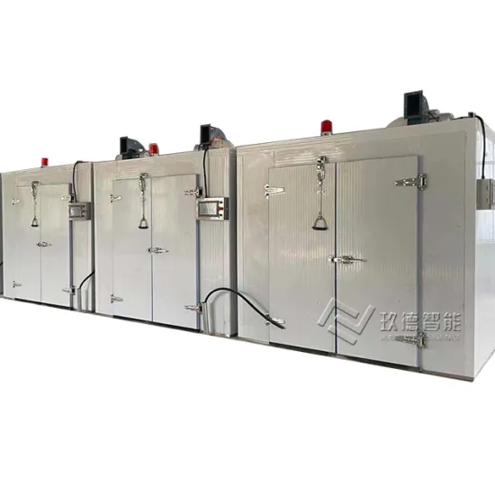 Automatic Hot Sale Olive and Mango Drying Machine for Fresh Fruit Processing