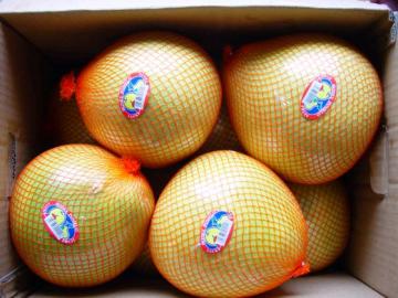 guanxi pomelo