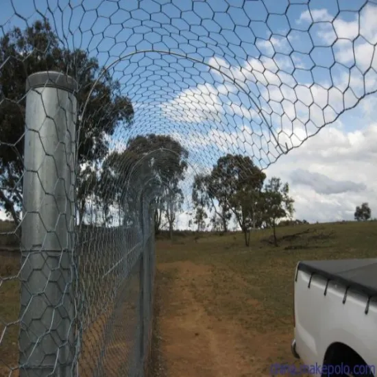 chicken poultry farms fence