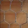 hexagonal wire netting