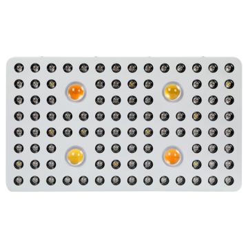 2000W Led Grow Light Greenhouse