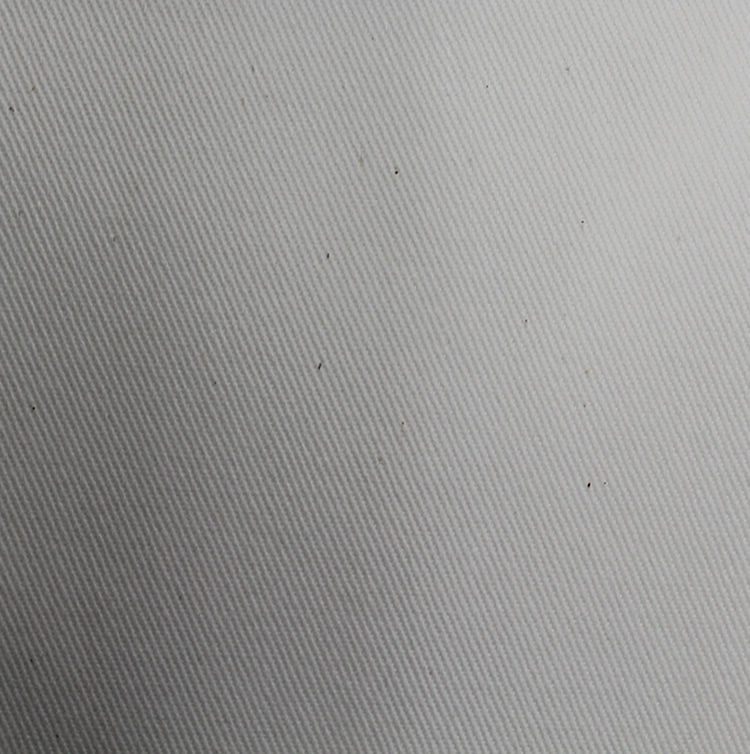 Greige Canvas Fabric